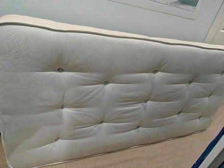 Photo of free 2 x Single mattresses (SW17) #2