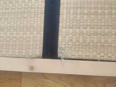 Photo of free 2x tatami mats (Se5) #4