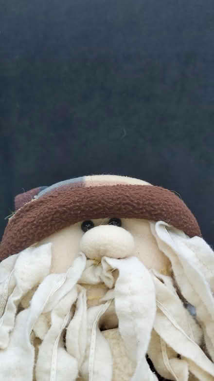 Photo of free Rag doll/Gnome (KT14) #2