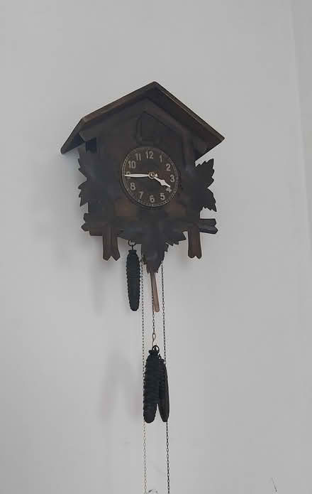 Photo of free Cuckoo clock - working (Heeley S2) #1