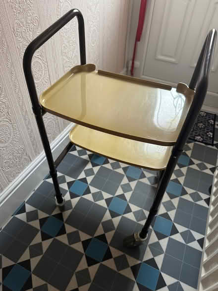 Photo of free Disability Walking Trolley Aide (BT4) #1