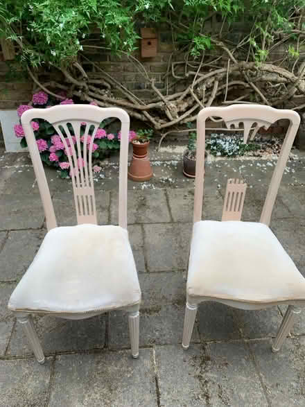 Photo of free Dining chairs (Chiswick W4) #1