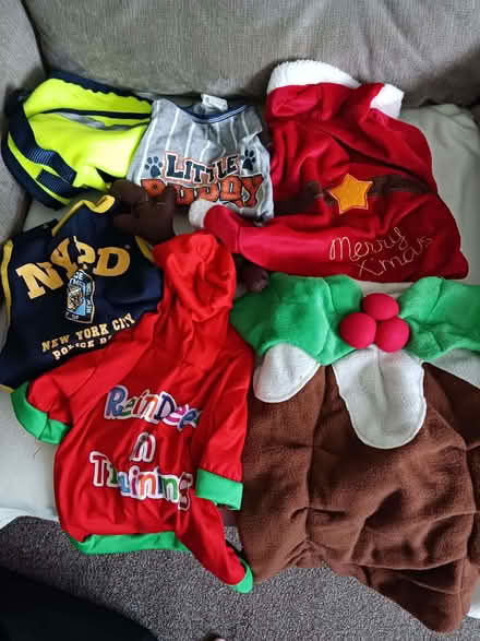 Photo of free Dog coats (Cutteslowe OX2) #1