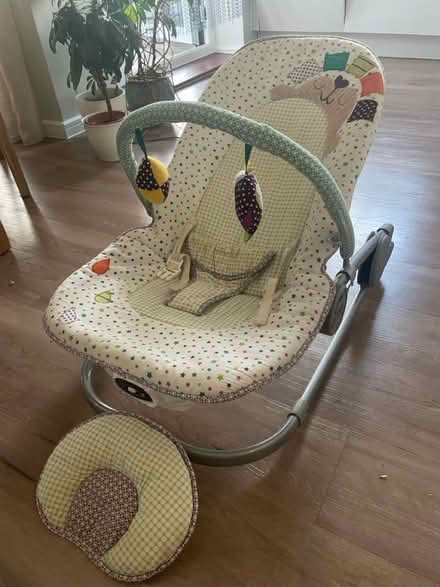 Photo of free Baby bouncer and baby carrier (High Barnet - EN5) #4