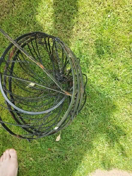 Photo of free 3 hanging baskets (Leominster) #1