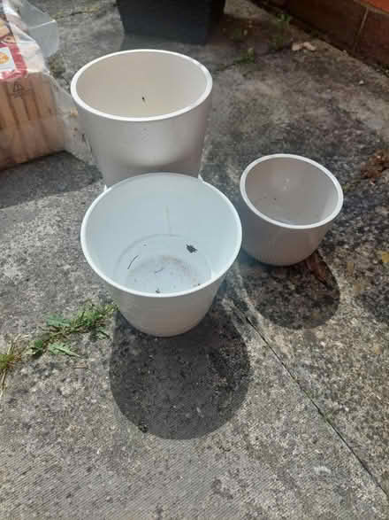 Photo of free 3x white/grey plant pots (Allestree) #1