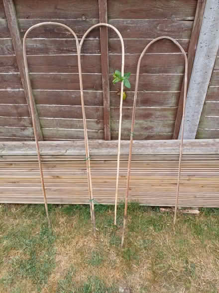 Photo of free Plant supports and plant pots (Worcester WR5) #2
