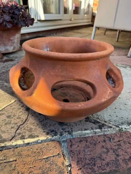 Photo of free Terracotta Herb pot (Galleywood CM2) #1