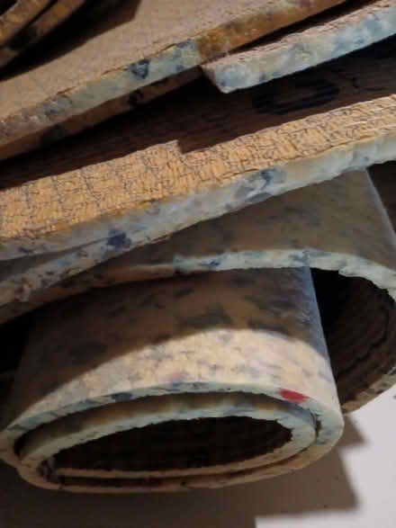 Photo of free Underlay (Havant PO9) #3