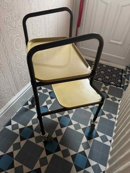 Photo of free Disability Walking Trolley Aide (BT4) #3