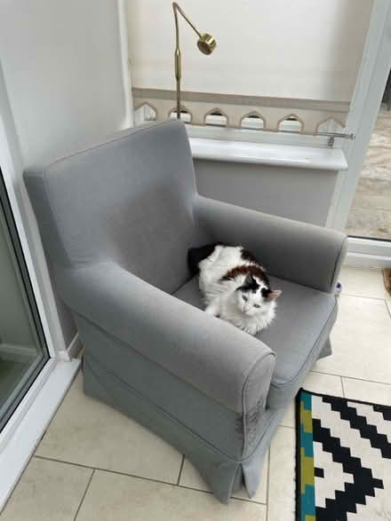Photo of free Lovely Grey Armchair (BR8) #2