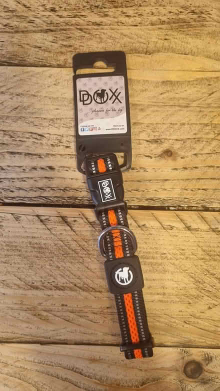 Photo of free Dog Collar (Reigate RH2) #1