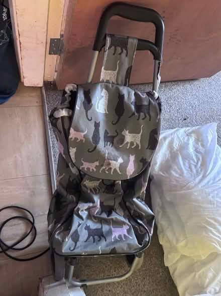 Photo of free Cats shopping trolley (Priory Ward EX2) #1