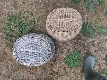 Photo of free Garden stuff : two baskets (good for apples) 2 x 4ft trellis (Bradford on Avon BA15) #3