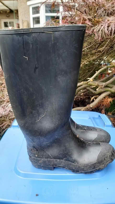 Photo of free Wellington boots size 43 / 9 (KT14) #3