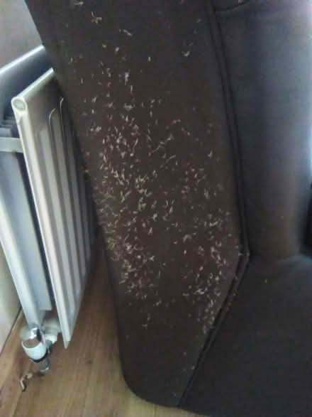 Photo of free Leather effect sofa (Kendal LA9) #3
