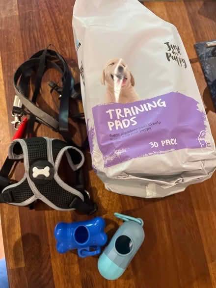 Photo of free Dog accessories (Erskine Barracks SP2) #1