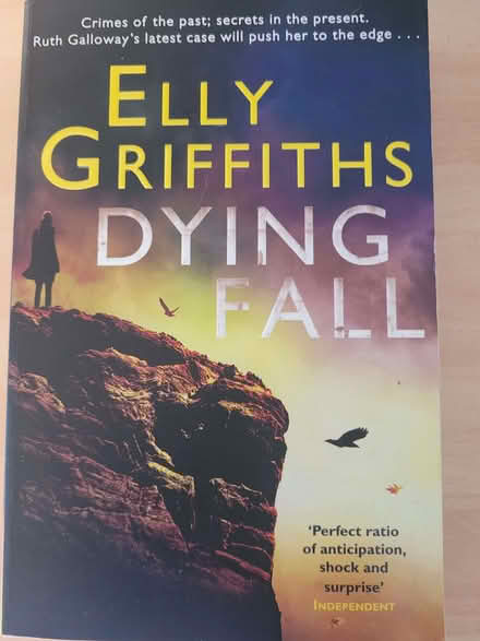 Photo of free Dying Fall by Elly Griffiths (West End LA3) #1
