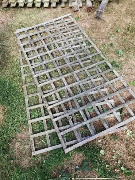 Photo of free Trellis and fence (Much Cowarne HR7) #2