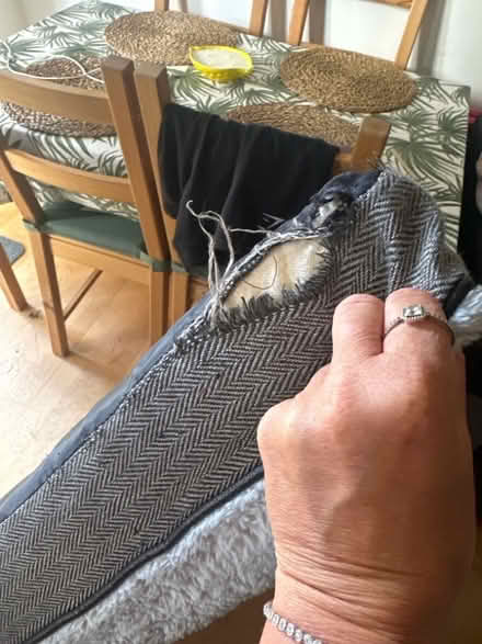 Photo of free Grey large dog bed (Crown Wood RG12) #2