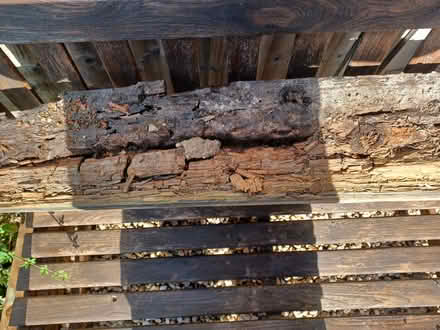 Photo of free Wood (Belper Town centre) #2