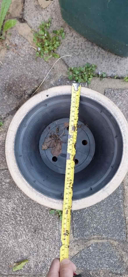Photo of free Plant pot (Lower Sydenham) #2