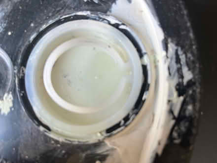 Photo of free Interior paint (Doylestown) #2