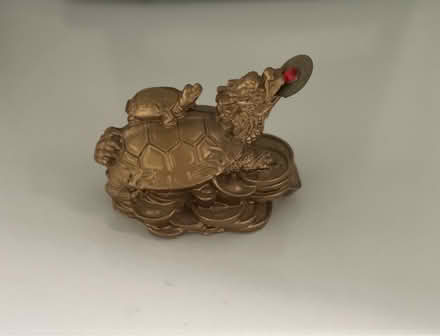 Photo of free Lucky Turtles (Santa Clara) #1