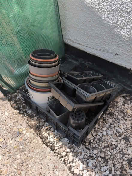 Photo of free Plastic plant pots (St Ann's NG3) #1