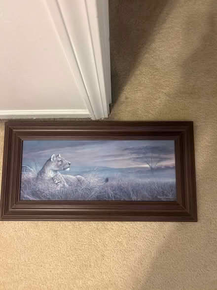 Photo of free Wall hangings (Near Canton) #2