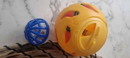 Photo of free Cat bell toy/treat ball (Tilehurst, Reading RG31 5TQ) #1