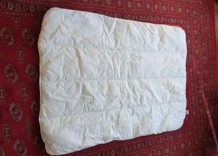 Photo of free Small duvet (Pipers Ash CH2) #1