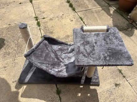 Photo of free Cat scratching post hammock (PR5 Bamber bridge) #2