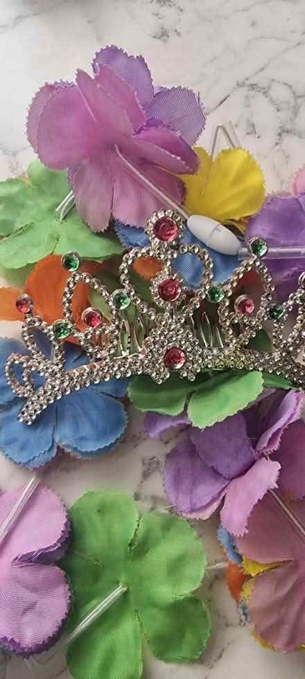 Photo of free Tiara and garland necklace (Tilehurst, Reading RG31 5TQ) #1