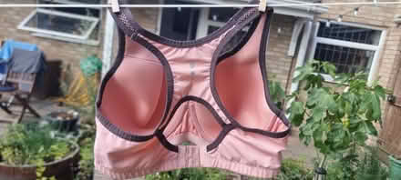 Photo of free Sz 36c under wired sports bra (Tilehurst, Reading RG31) #2