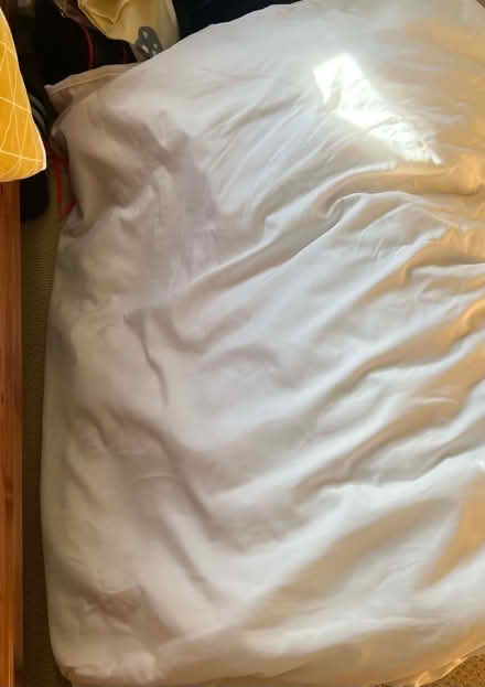 Photo of free Double duvet (Loughborough LE11) #1