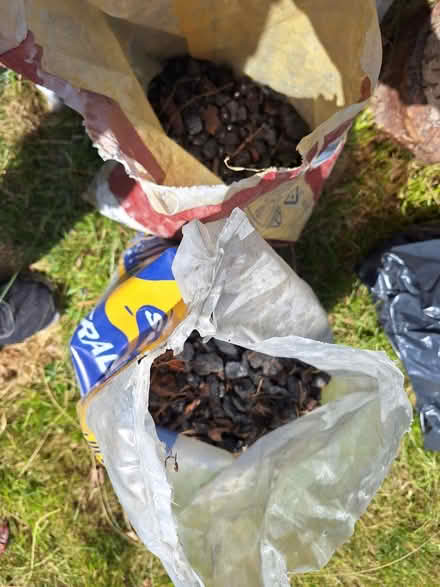 Photo of free Anthracite (South Green CM11) #3