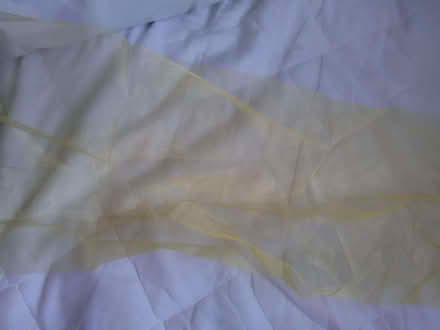 Photo of free Gold/yellow gauze fabric (Higham North area NN10) #2