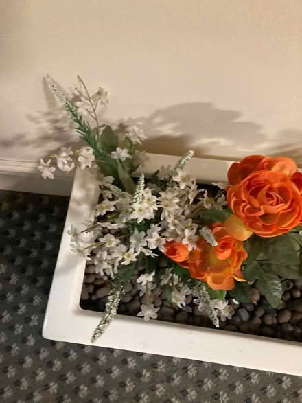 Photo of free Fake plant box (West Ealing) #3