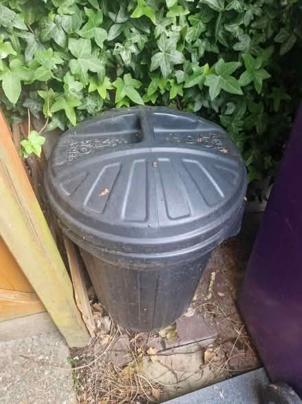 Photo of free 80 litre bin (SG8) #1