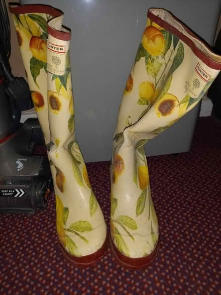 Photo of free Hunter Women's Wellies size 37 (Collyhurst M40) #2