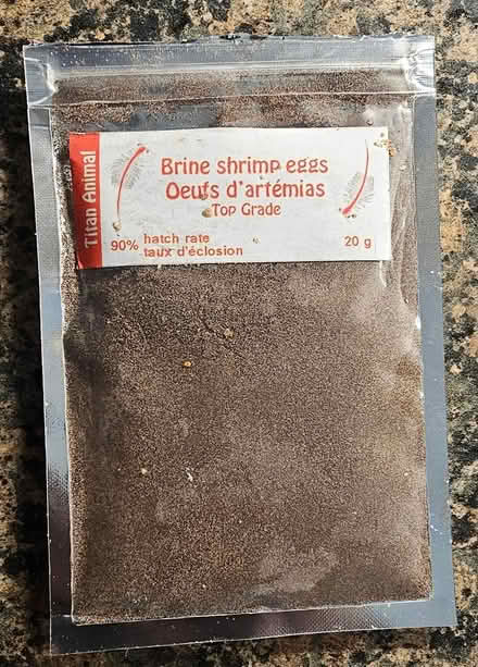 Photo of free Brine shrimp incubator and eggs (K2G 2Y9) #2