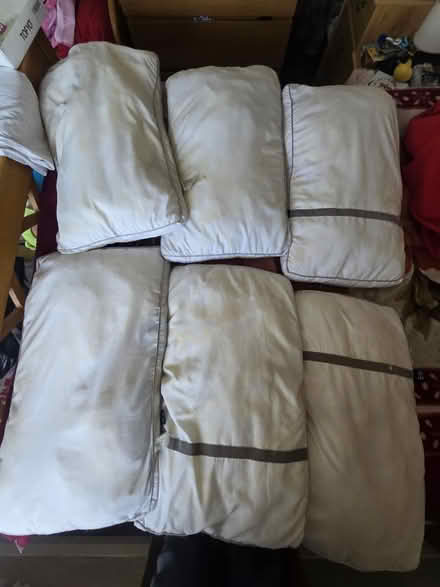 Photo of free 6 pillows (Broxtowe NG8) #2
