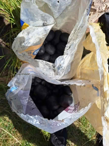 Photo of free Anthracite (South Green CM11) #2