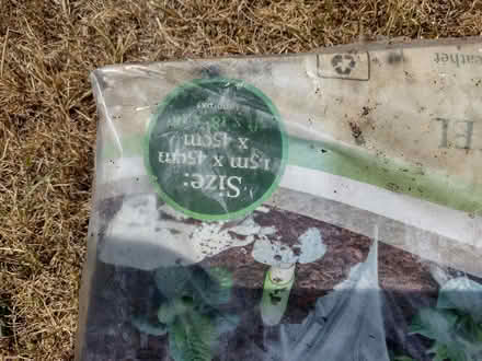 Photo of free 6ft Poly tunnel plus spare membrane (Bradford on Avon BA15) #2