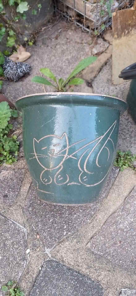 Photo of free Plant pot (Lower Sydenham) #1