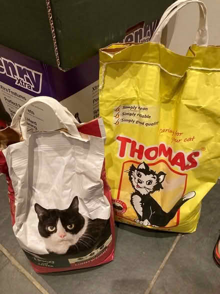 Photo of free Clay cat litter (Quernmore LA2) #1