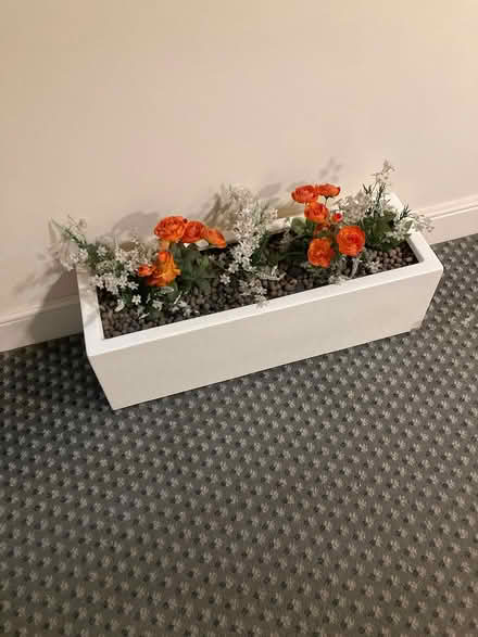 Photo of free Fake plant box (West Ealing) #1