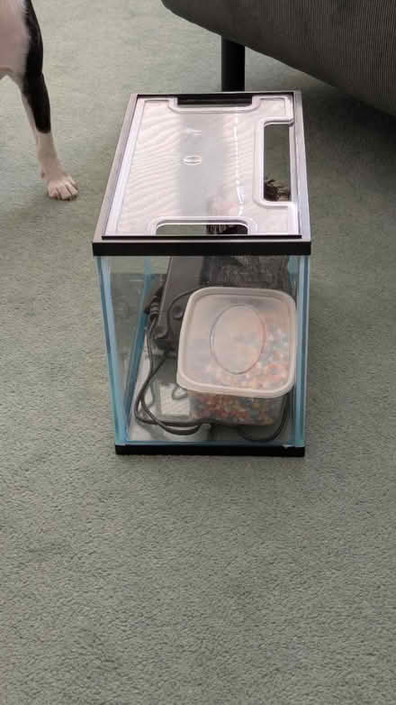 Photo of free Small fish tank (BR1) #2