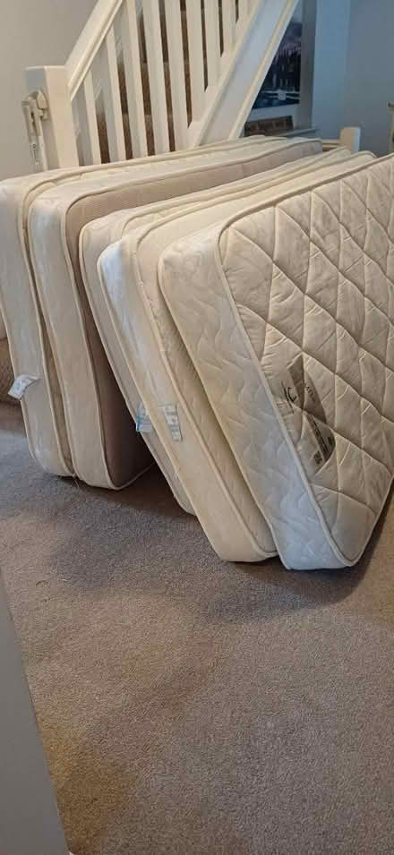 Photo of free 4 single mattresses (Cutteslowe, OX2) #2